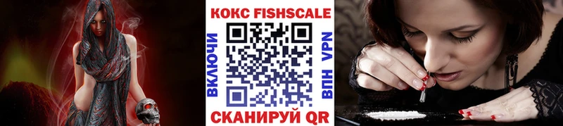где купить   Болохово  COCAIN VHQ 