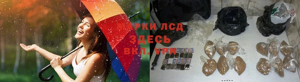 гидропоника Надым