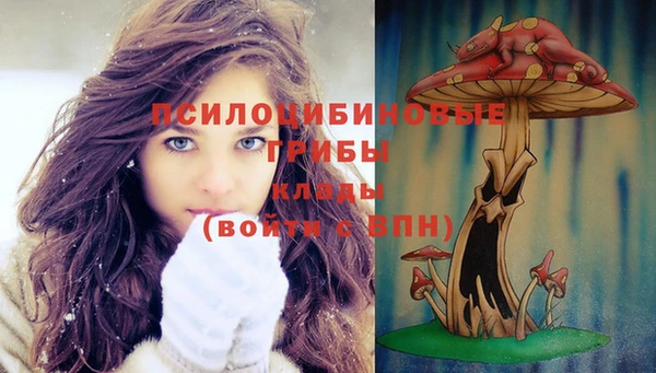 таблы Ахтубинск